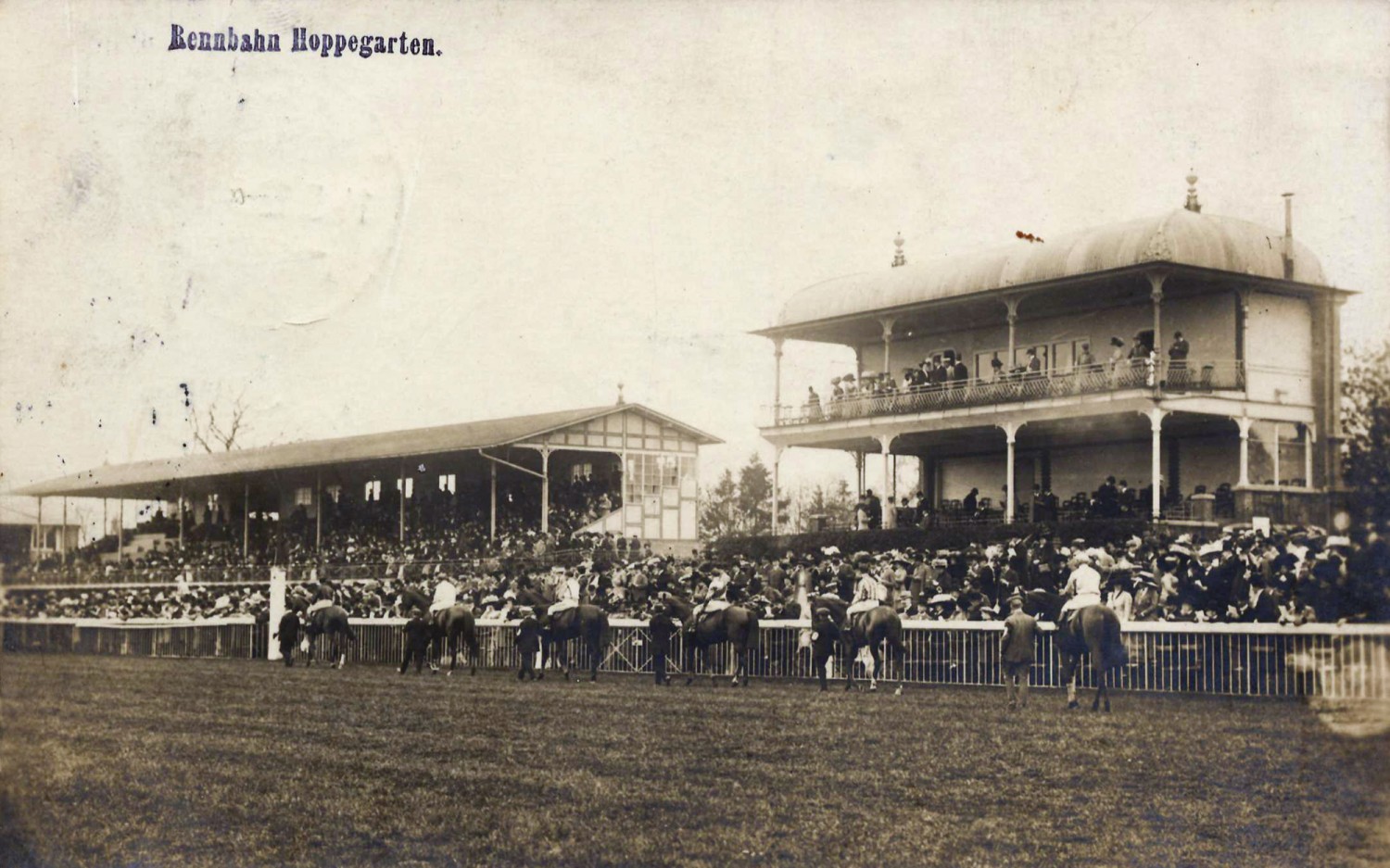 Frank Leder Spring / Summer Turf