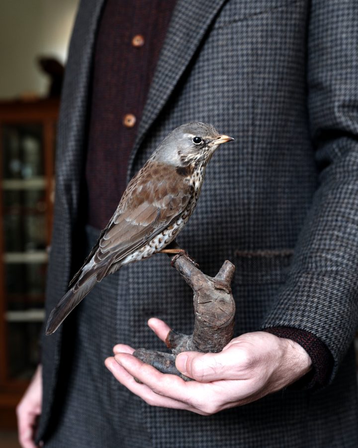 Frank Leder / Autumn / Winter 2025/26 / Naturalienkabinett