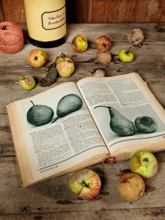 Frank Leder Spring / Summer 2011 The Botanist