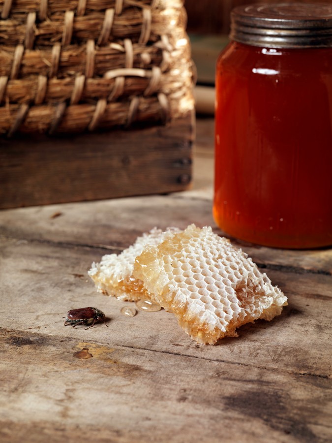 Frank Leder Spring / Summer 2011 The Botanist