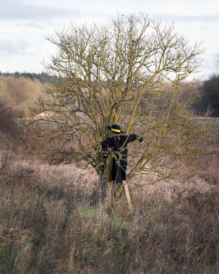 Frank Leder / Spring / Sommer / 2019 / Scheuchen