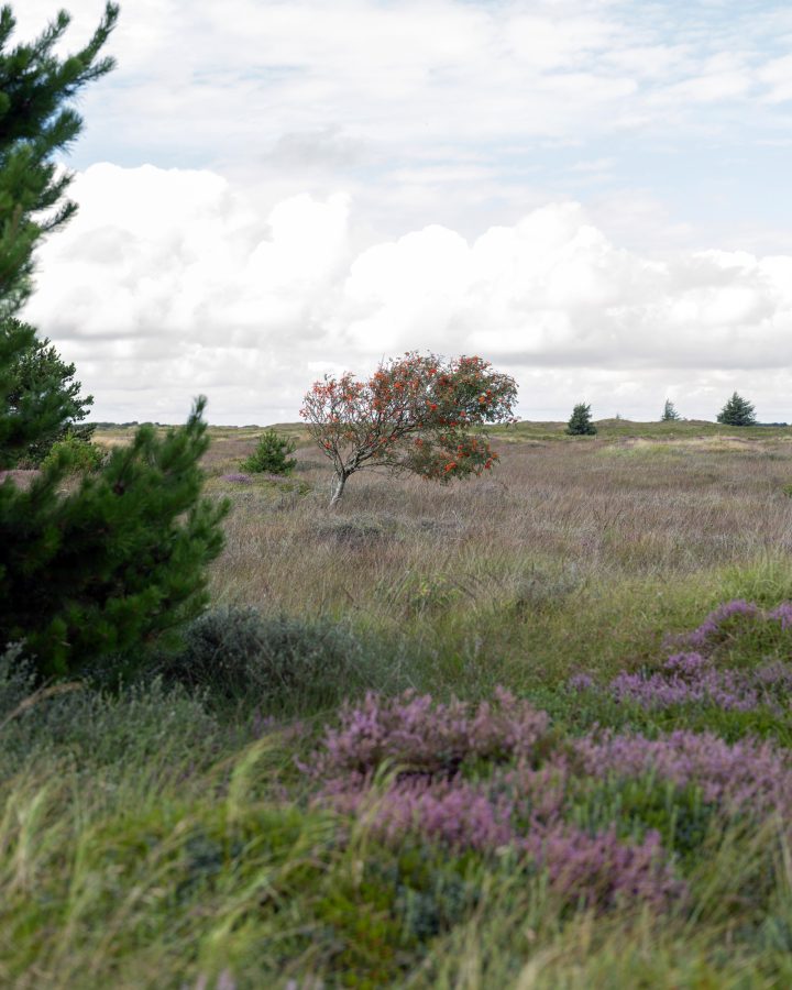 Frank Leder / Spring / Summer 2025 / Hütte